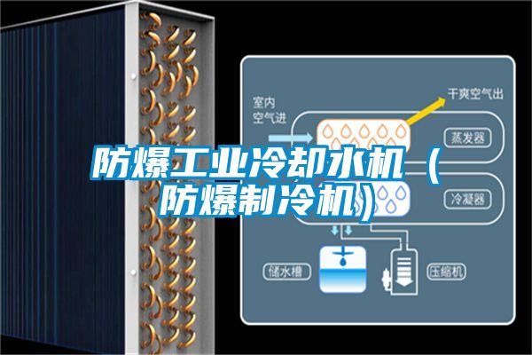 防爆工業(yè)冷卻水機（防爆制冷機）