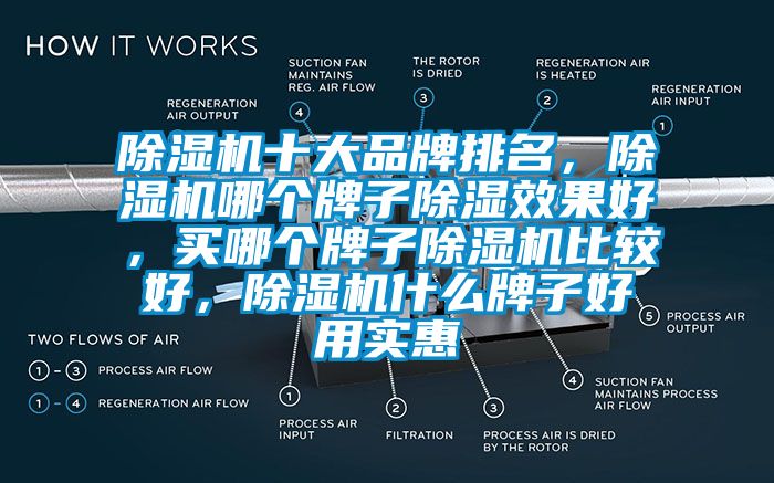 除濕機(jī)十大品牌排名，除濕機(jī)哪個(gè)牌子除濕效果好，買(mǎi)哪個(gè)牌子除濕機(jī)比較好，除濕機(jī)什么牌子好用實(shí)惠