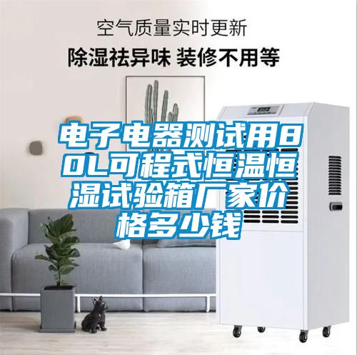 電子電器測(cè)試用80L可程式恒溫恒濕試驗(yàn)箱廠家價(jià)格多少錢(qián)