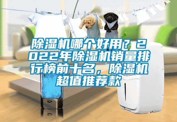 除濕機(jī)哪個(gè)好用？2022年除濕機(jī)銷量排行榜前十名，除濕機(jī)超值推薦款