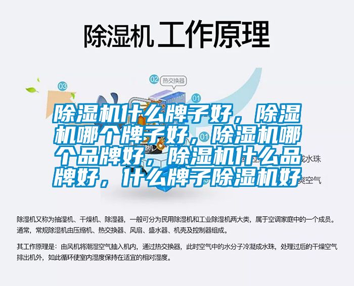 除濕機什么牌子好，除濕機哪個牌子好，除濕機哪個品牌好，除濕機什么品牌好，什么牌子除濕機好