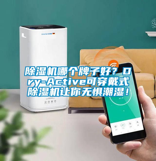 除濕機哪個牌子好？Dry-Active可穿戴式除濕機讓你無懼潮濕！