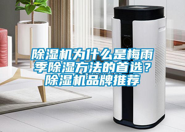 除濕機(jī)為什么是梅雨季除濕方法的首選？除濕機(jī)品牌推薦