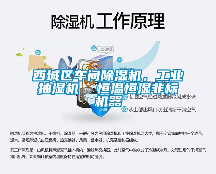 西城區(qū)車(chē)間除濕機(jī)，工業(yè)抽濕機(jī)  恒溫恒濕非標(biāo)機(jī)器