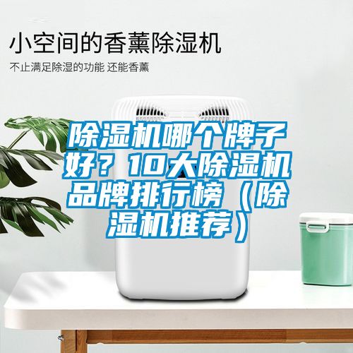 除濕機(jī)哪個牌子好？10大除濕機(jī)品牌排行榜（除濕機(jī)推薦）