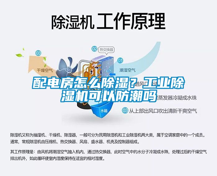 配電房怎么除濕？工業(yè)除濕機可以防潮嗎