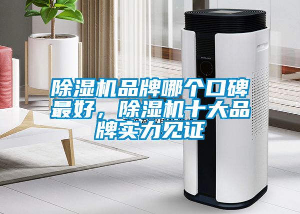 除濕機(jī)品牌哪個(gè)口碑最好，除濕機(jī)十大品牌實(shí)力見證