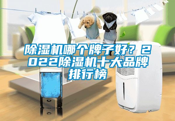 除濕機哪個牌子好？2022除濕機十大品牌排行榜