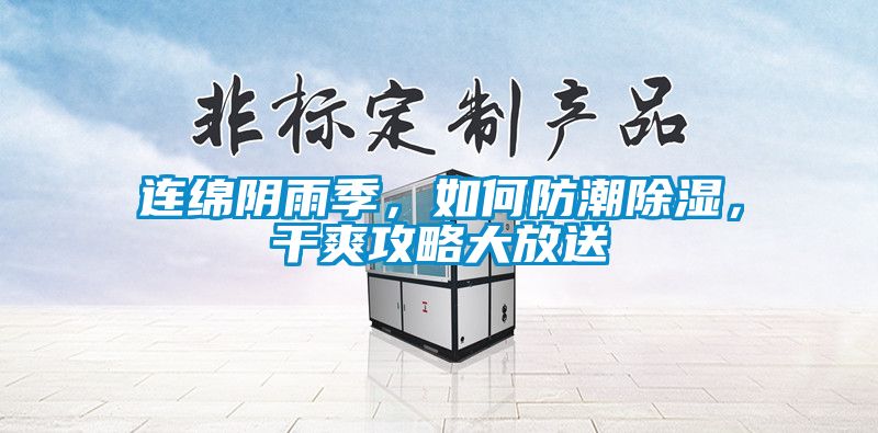 連綿陰雨季，如何防潮除濕，干爽攻略大放送