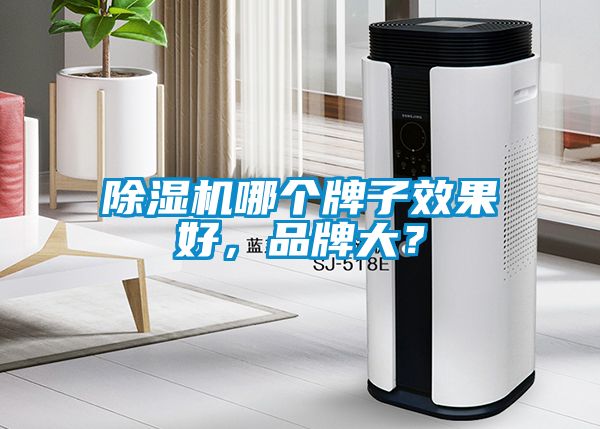 除濕機哪個牌子效果好，品牌大？