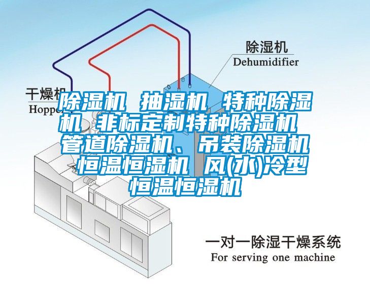 除濕機(jī) 抽濕機(jī) 特種除濕機(jī) 非標(biāo)定制特種除濕機(jī) 管道除濕機(jī)、吊裝除濕機(jī) 恒溫恒濕機(jī) 風(fēng)(水)冷型恒溫恒濕機(jī)