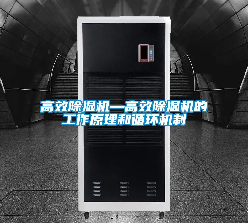 高效除濕機—高效除濕機的工作原理和循環(huán)機制