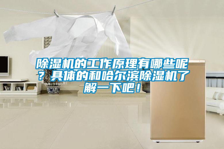 除濕機的工作原理有哪些呢？具體的和哈爾濱除濕機了解一下吧！