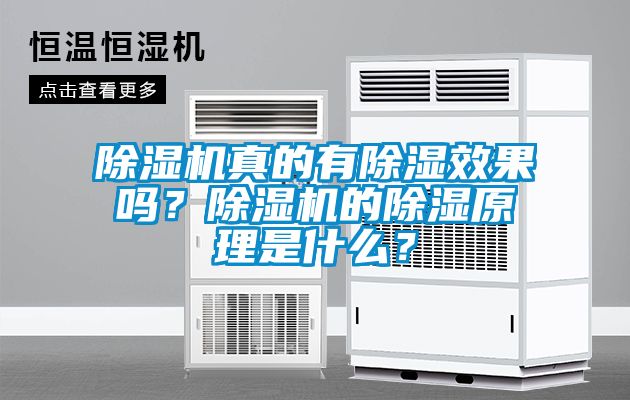 除濕機真的有除濕效果嗎？除濕機的除濕原理是什么？