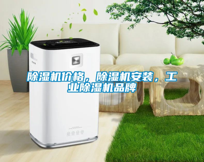 除濕機價格，除濕機安裝，工業(yè)除濕機品牌