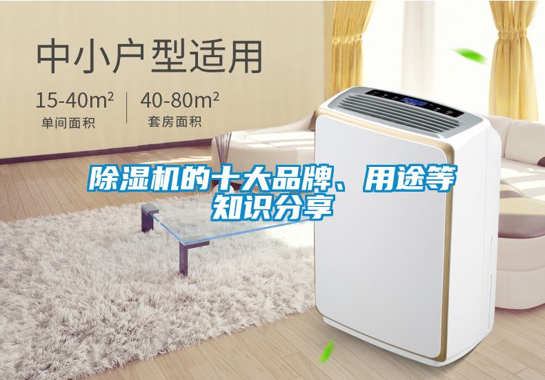 除濕機(jī)的十大品牌、用途等知識(shí)分享