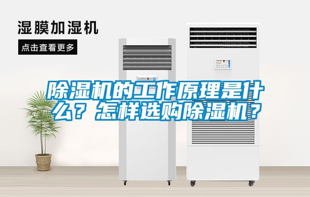 除濕機的工作原理是什么？怎樣選購除濕機？