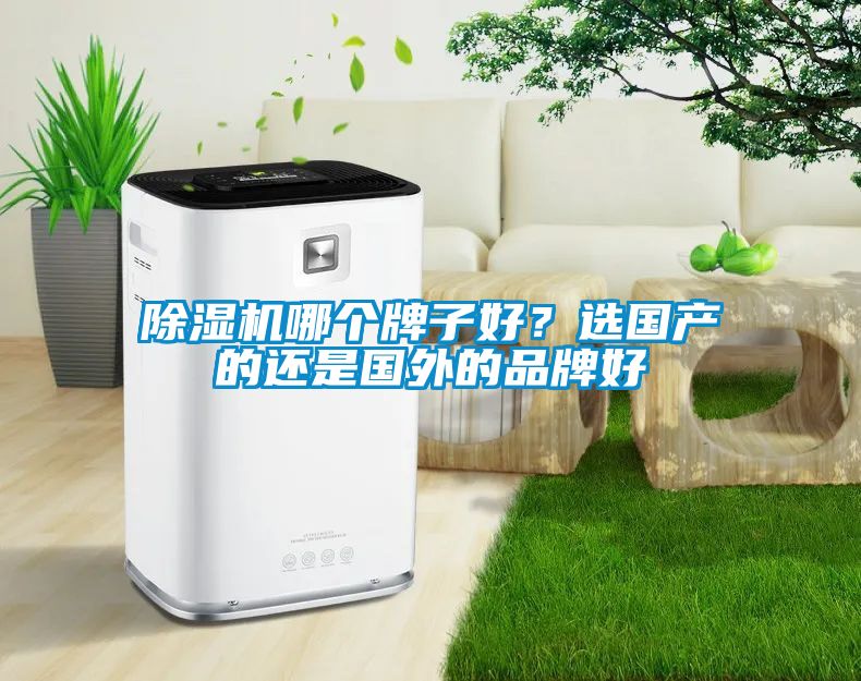 除濕機哪個牌子好？選國產的還是國外的品牌好