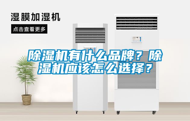 除濕機(jī)有什么品牌？除濕機(jī)應(yīng)該怎么選擇？