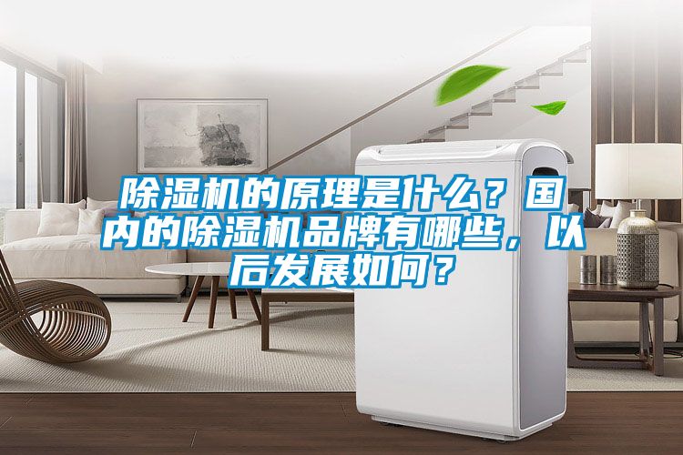 除濕機的原理是什么？國內的除濕機品牌有哪些，以后發(fā)展如何？