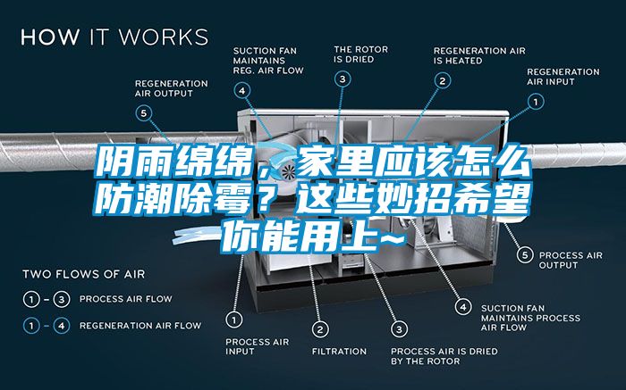 陰雨綿綿，家里應(yīng)該怎么防潮除霉？這些妙招希望你能用上~