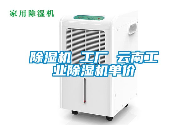 除濕機 工廠 云南工業(yè)除濕機單價