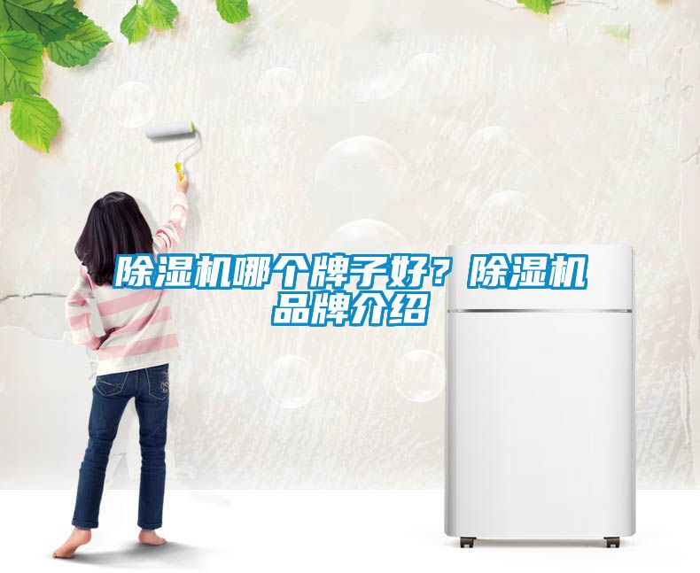 除濕機哪個牌子好？除濕機品牌介紹