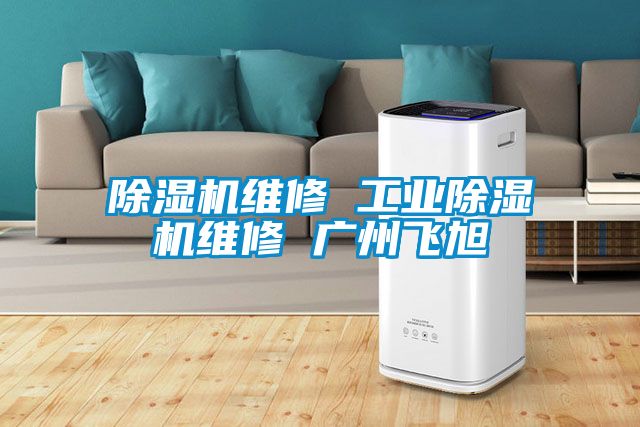 除濕機維修 工業(yè)除濕機維修 廣州飛旭