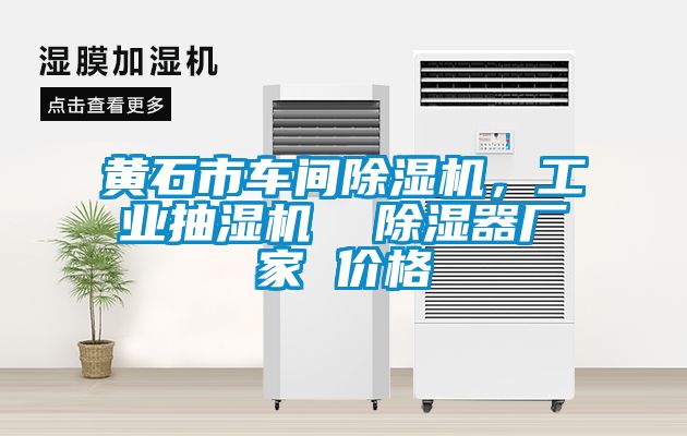 黃石市車間除濕機，工業(yè)抽濕機  除濕器廠家 價格