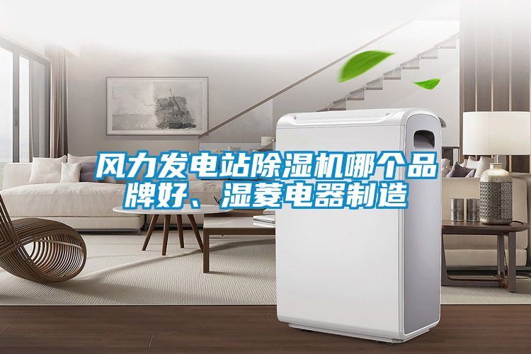 風(fēng)力發(fā)電站除濕機哪個品牌好、濕菱電器制造