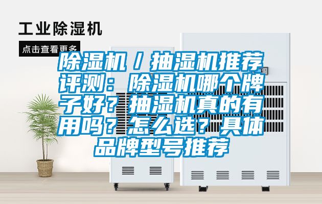 除濕機／抽濕機推薦評測：除濕機哪個牌子好？抽濕機真的有用嗎？怎么選？具體品牌型號推薦