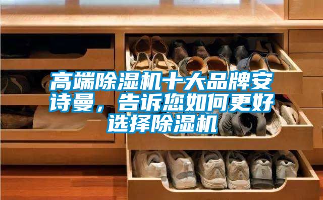 高端除濕機十大品牌安詩曼，告訴您如何更好選擇除濕機