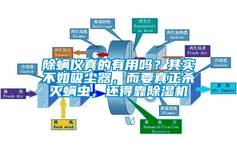 除螨儀真的有用嗎？其實不如吸塵器，而要真正殺滅螨蟲，還得靠除濕機